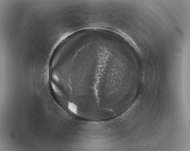 X0000116441224201001051158