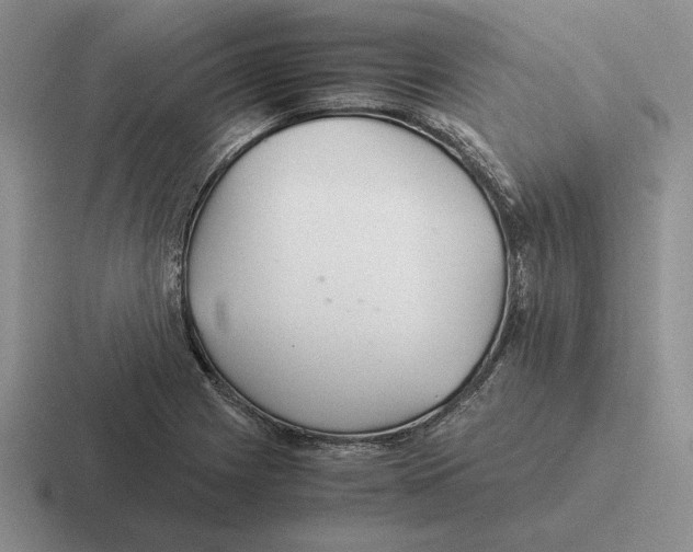 X0000116441225201001051158