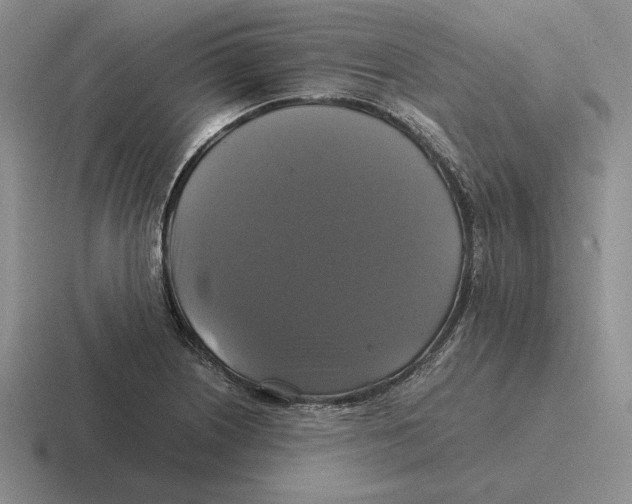 X0000116441226201001051158