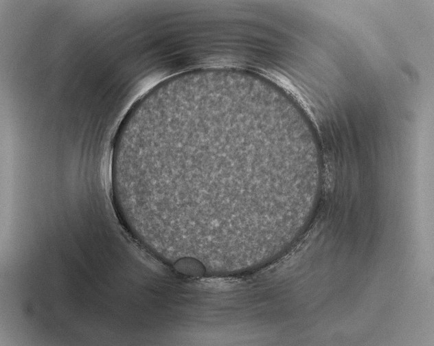 X0000116441227201001051158