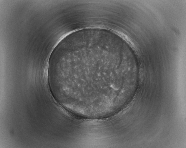 X0000116441228201001051158