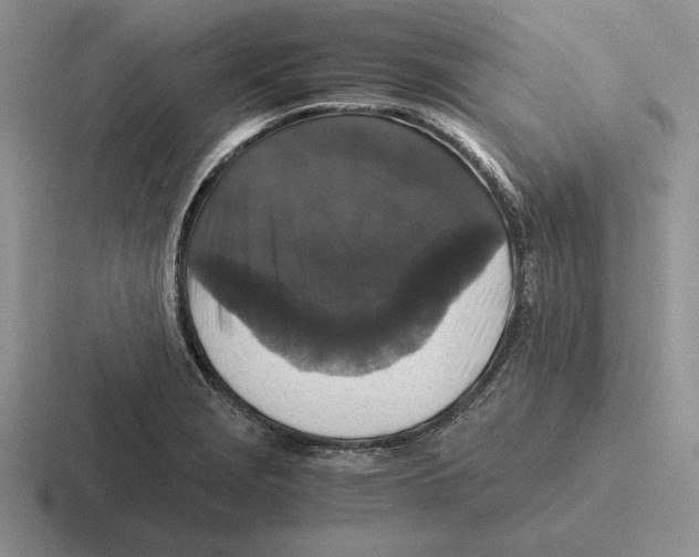 X0000116441229201001051158