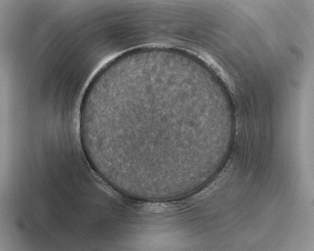 X0000116441232201001051158