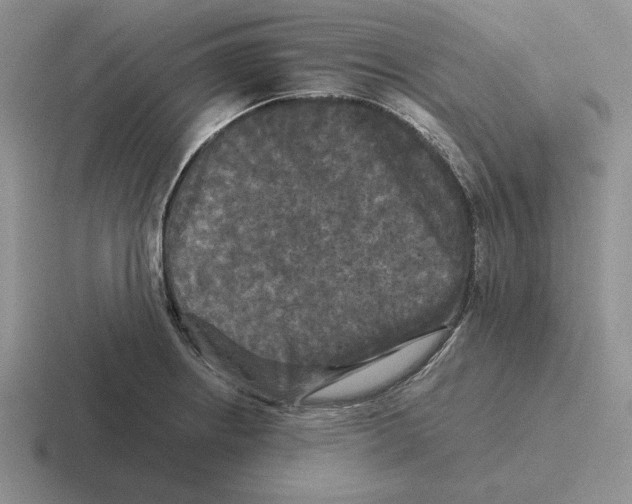 X0000116441234201001051158