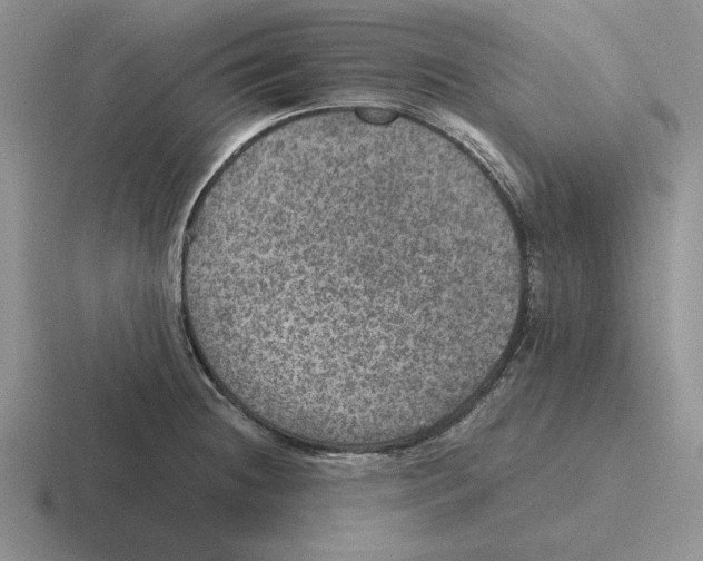 X0000116441236201001051158