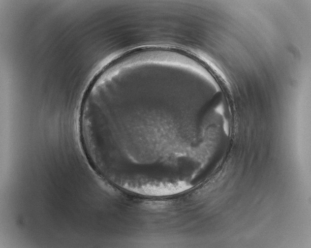 X0000116441237201001051158