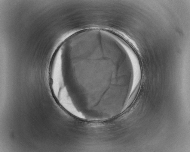 X0000116441239201001051158