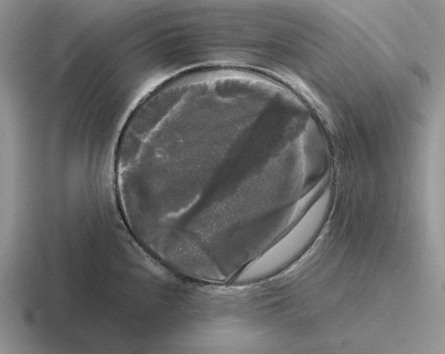 X0000116441240201001051158