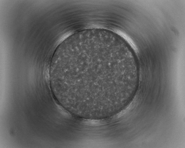 X0000116441241201001051158