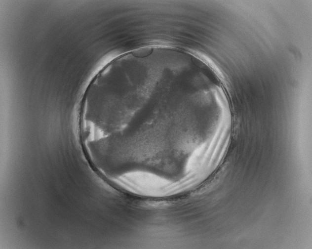 X0000116441243201001051158