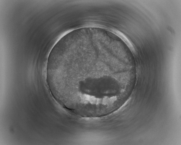 X0000116441244201001051158