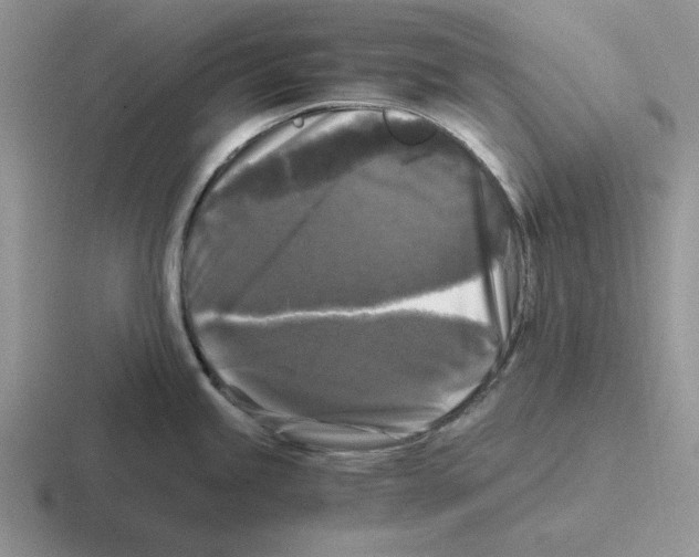 X0000116441245201001051158