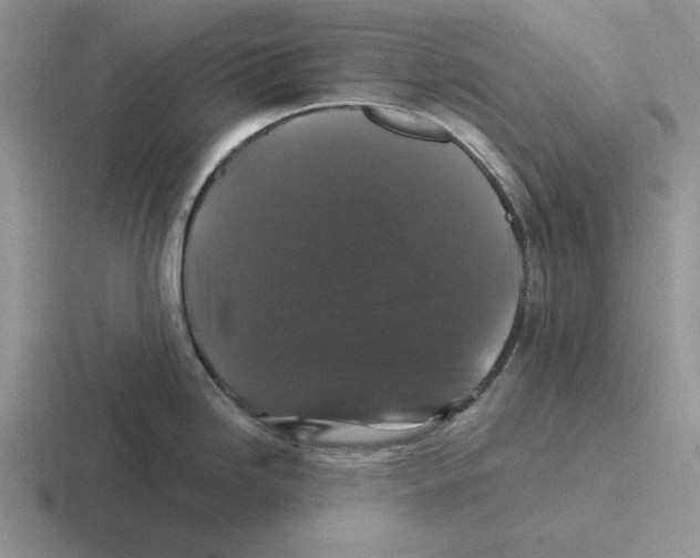 X0000116441246201001051158