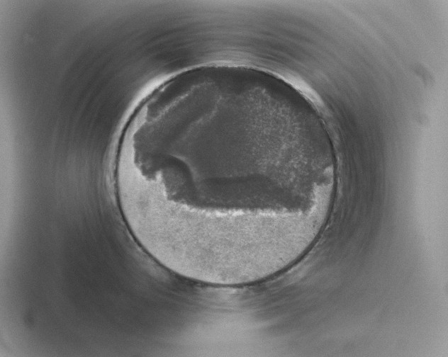 X0000116441248201001051159