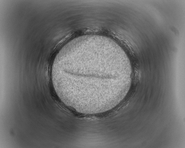 X0000116441250201001051158