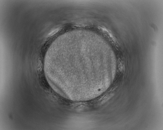 X0000116441253201001051158