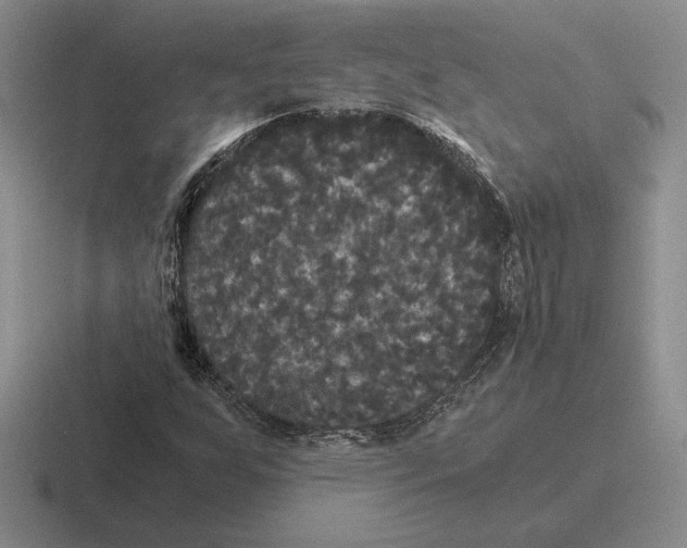 X0000116441255201001051158