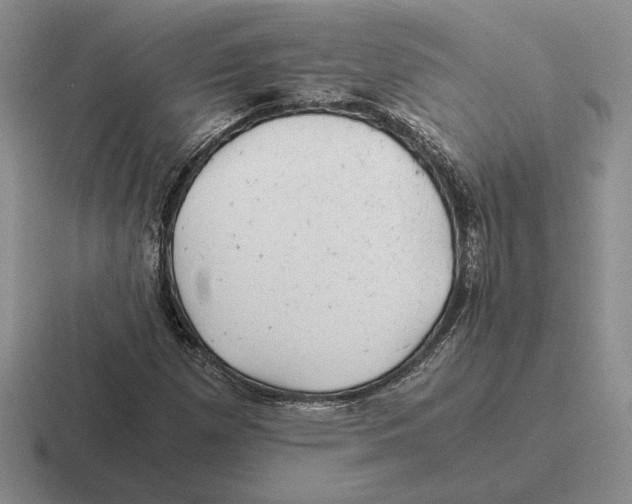 X0000116441257201001051158