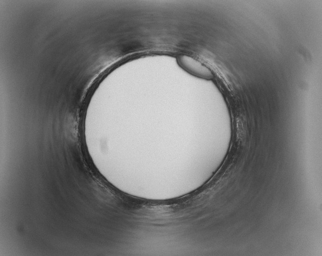 X0000116441260201001051158