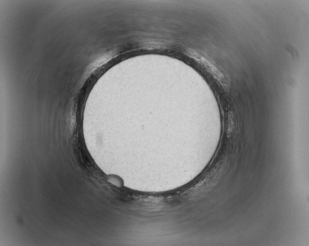 X0000116441261201001051158