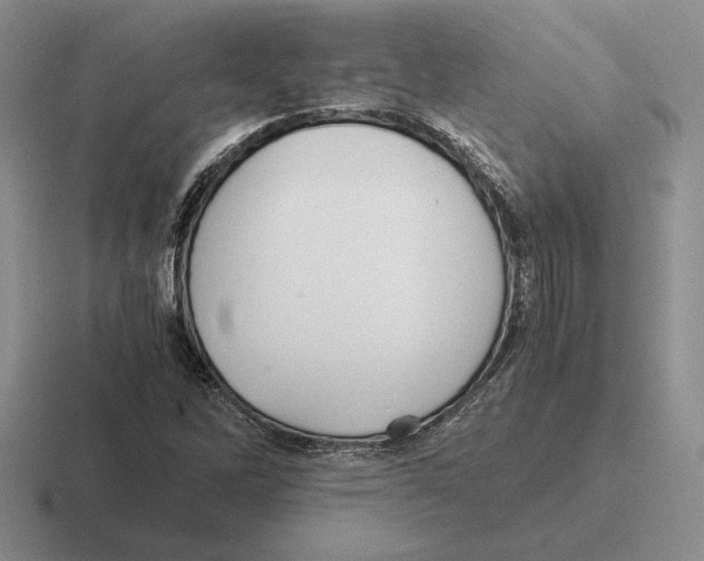 X0000116441262201001051158