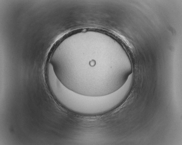 X0000116441264201001051158