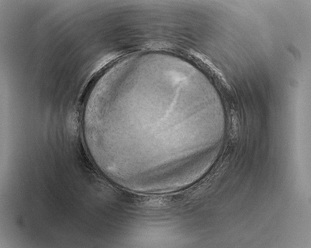 X0000116441266201001051158