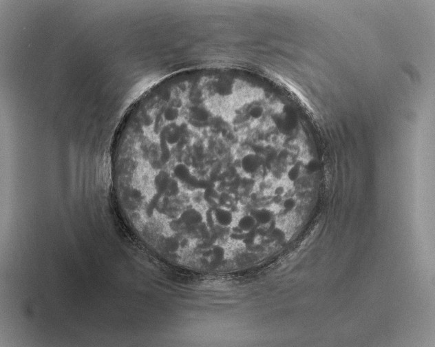 X0000116441267201001051158