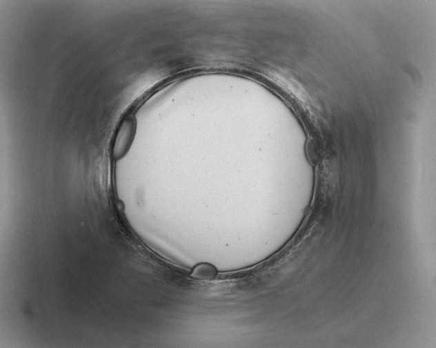 X0000116441269201001051158