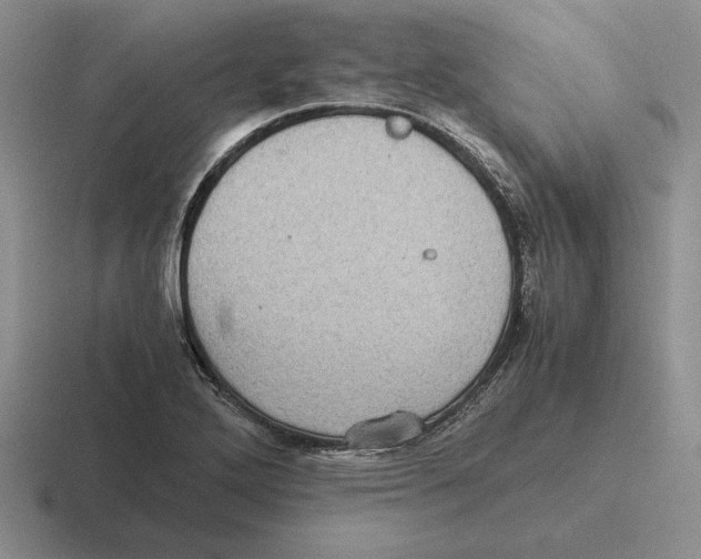 X0000116441272201001051158