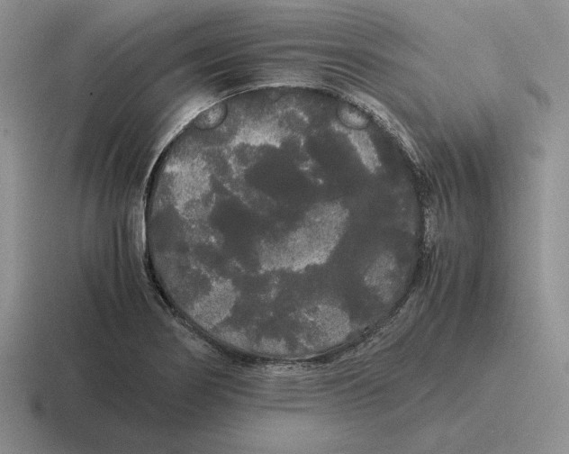 X0000116441274201001051158