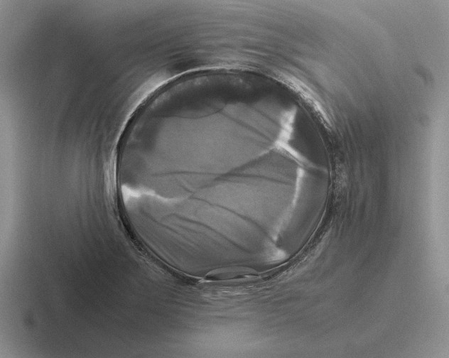 X0000116441275201001051158