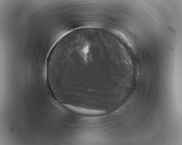 X0000116441276201001051158