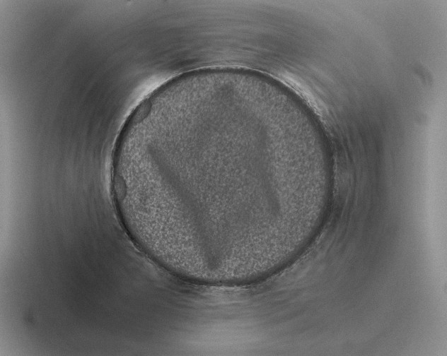 X0000116441277201001051158