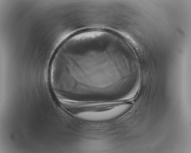 X0000116441279201001051158