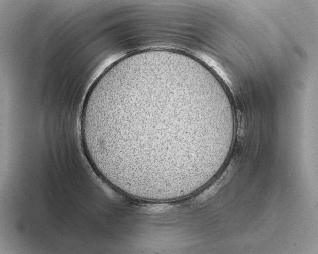 X0000116441282201001051157