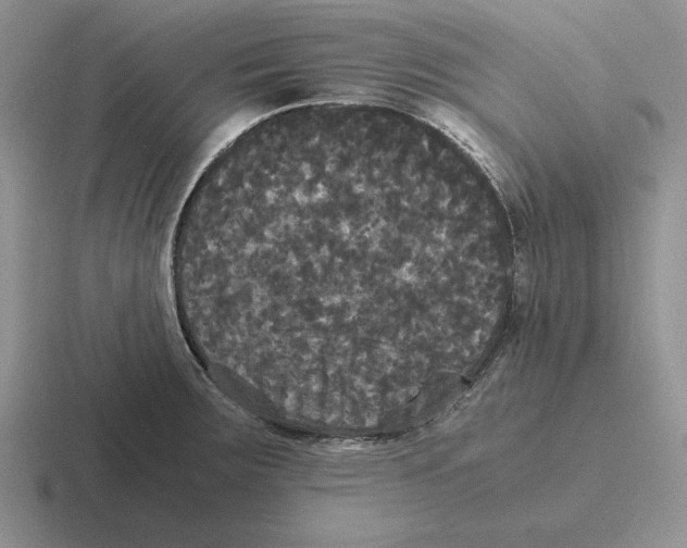 X0000116441283201001051157