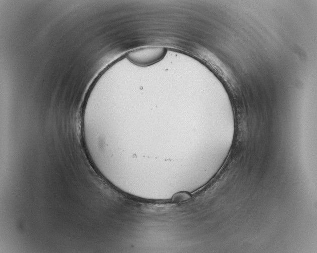 X0000116441284201001051157