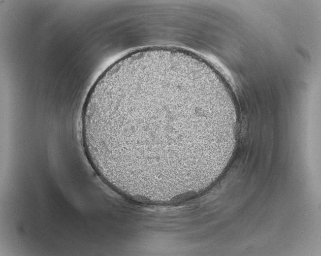 X0000116441287201001051157