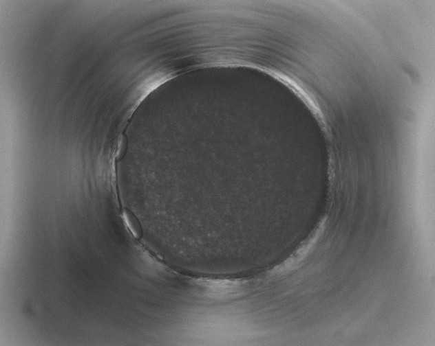 X0000116441289201001051157