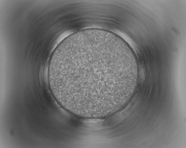 X0000116441290201001051157