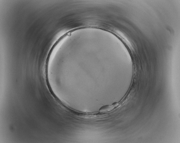 X0000116441291201001051157