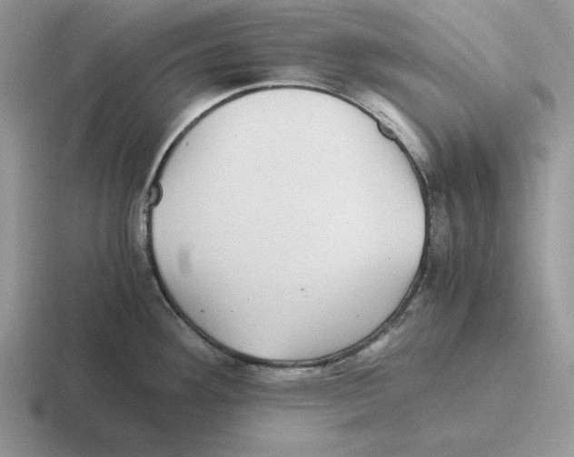 X0000116441292201001051157