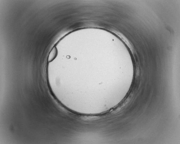 X0000116441293201001051157