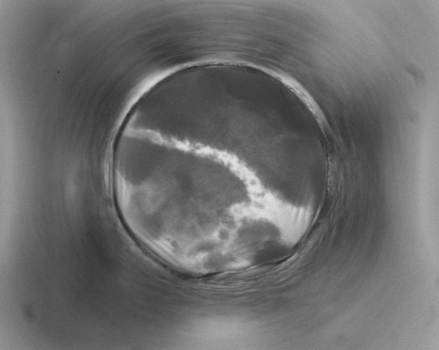 X0000116441295201001051157