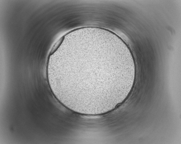 X0000116441296201001051157