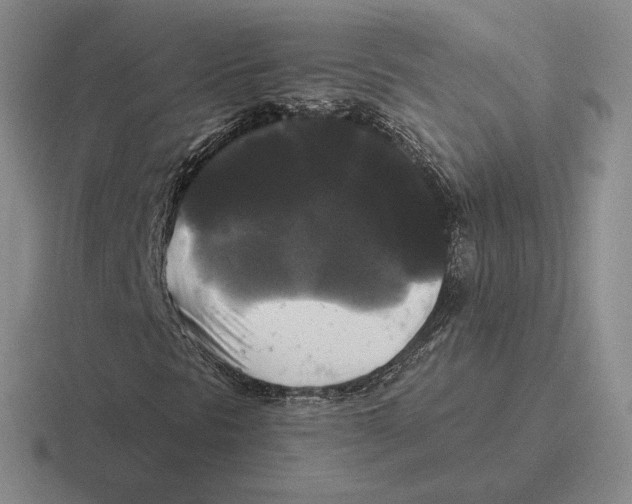 X0000116441297201001051157