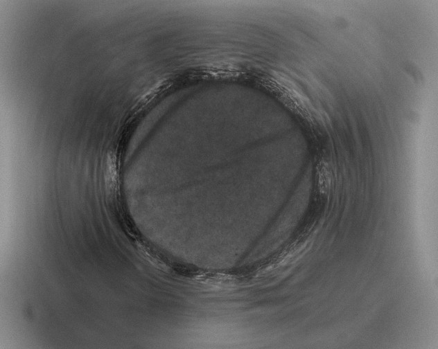 X0000116441298201001051157