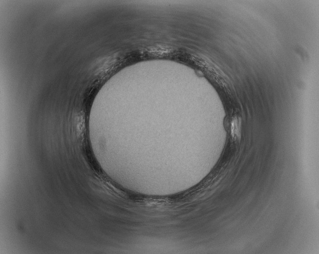 X0000116441299201001051157