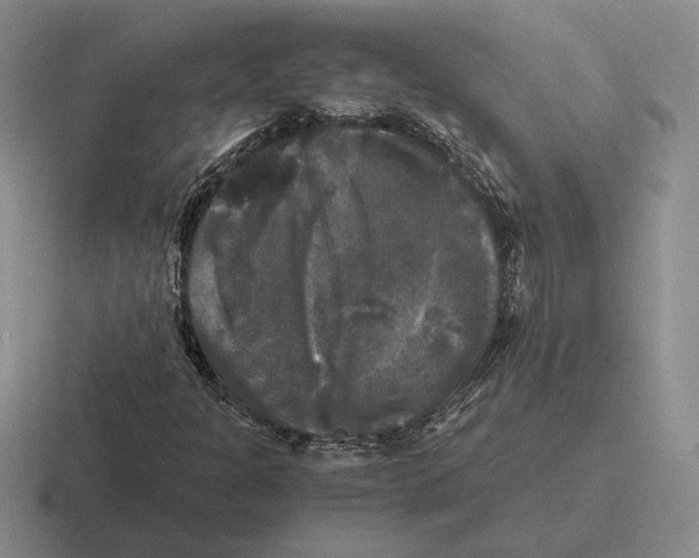 X0000116441301201001051157